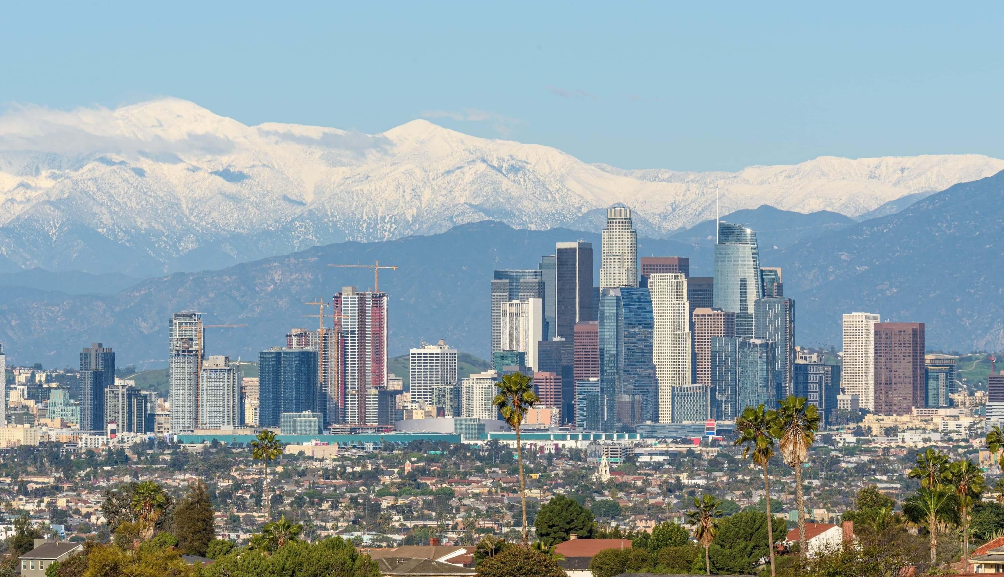 Los Angeles City Landscape